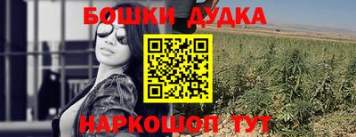 сатива Моздок