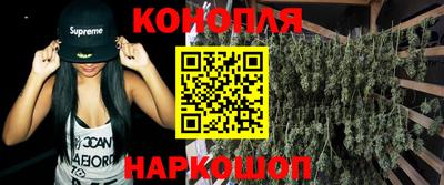 сатива Моздок
