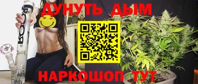 сатива Моздок