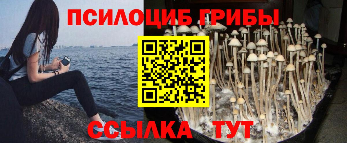 Галлюциногенные грибы прущие грибы Сызрань