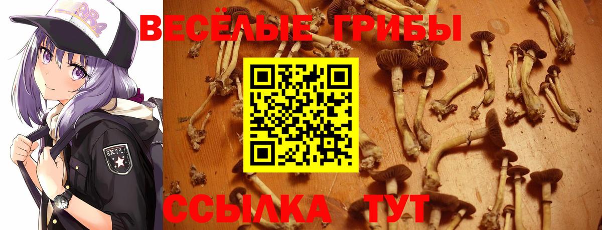 Галлюциногенные грибы мицелий  Вход с VPN  Сызрань 